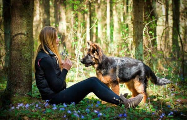 German-Shepherd-with-girl-in-forest