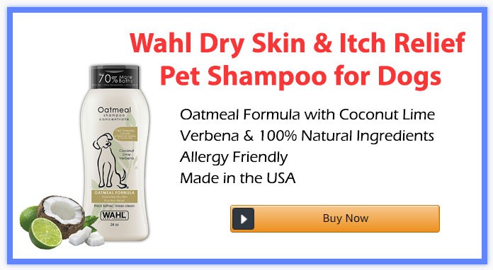 itch relief for dogs shampoo itch relief for dogs shampoo