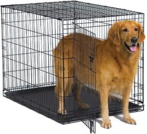 New World Folding Metal Dog Crate