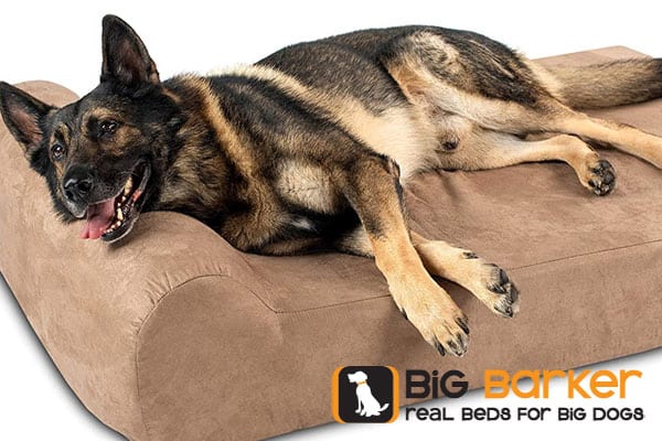 Best 6 Big Barker Dog Beds