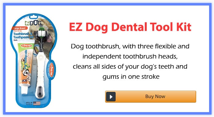 EZ Dog Dental Tool Kit