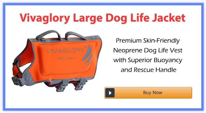 Vivaglory Large Dog Life Jacket