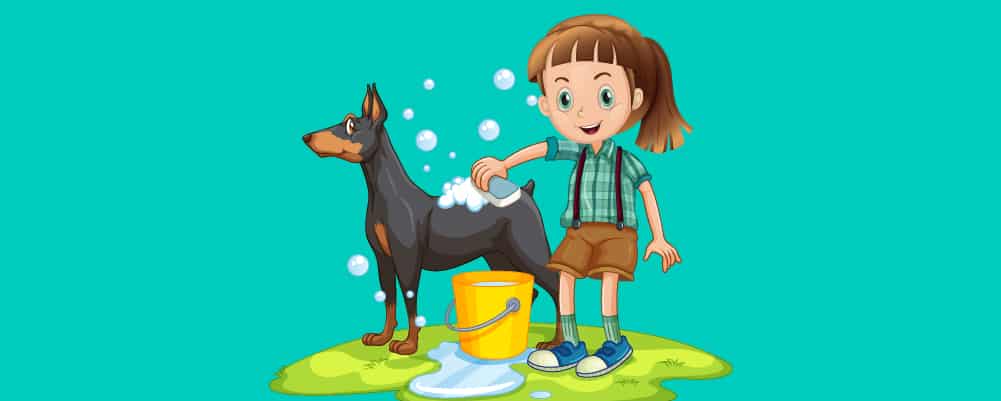 A girl washing her dog