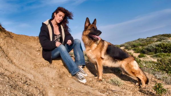 German Shepherd Dog