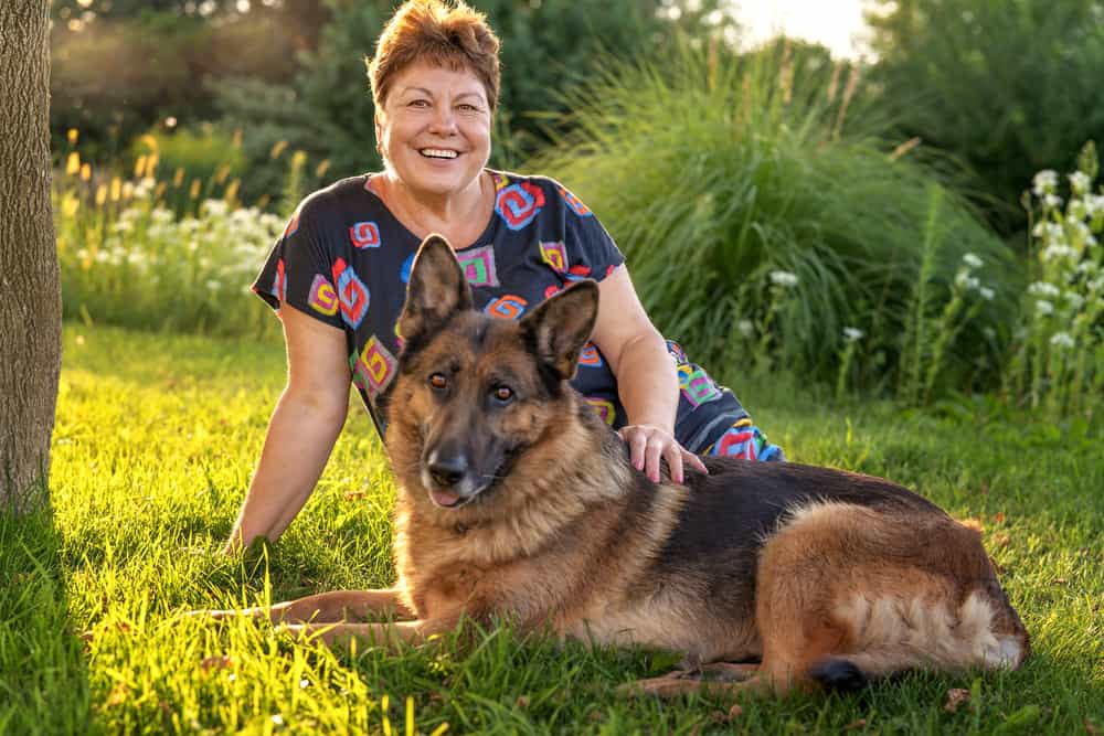 German Shepherd Sitting In Grass with Owner
