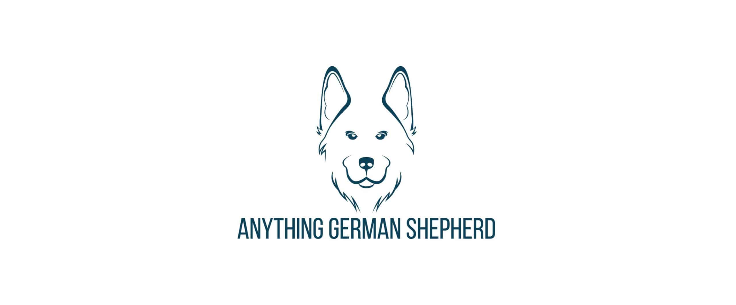 8-Week-Old German Shepherd - Routine And Care