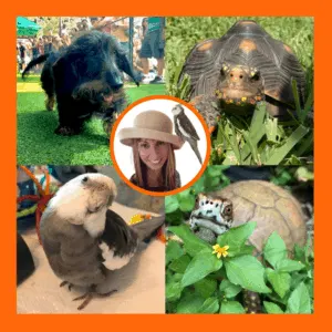 About Us & Meet Our Team 6 Shannon with 'Flash Gordon', 'Pearl', 'Malti', and 'Bruce'