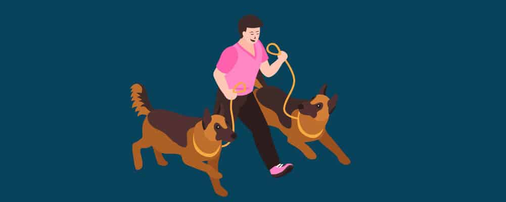 Man taking his pregnant dogs for a walk