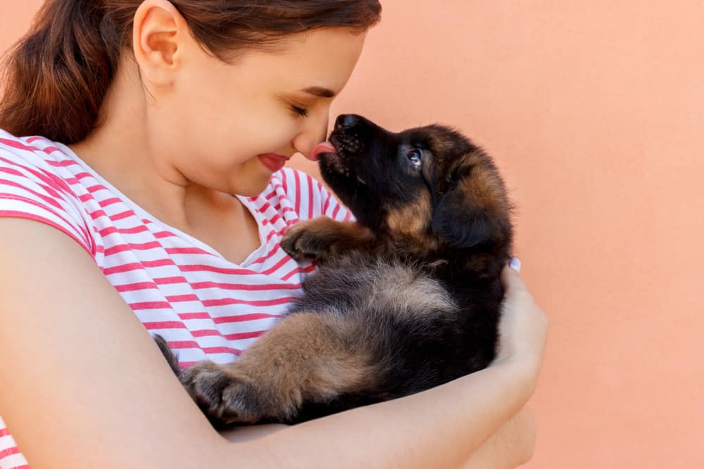 do-german-shepherd-puppies-change-color