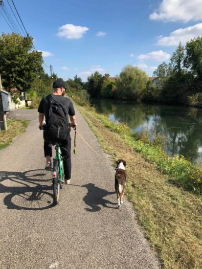 Australian-Shepherd-running-with-owner