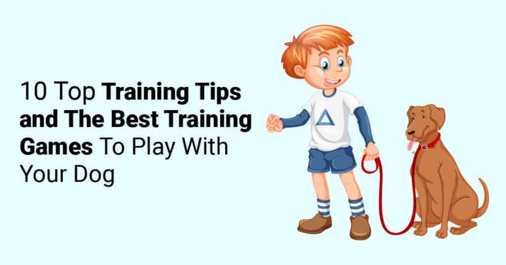 10 Top Training Tips and The Best Training Games To Play With Your Dog