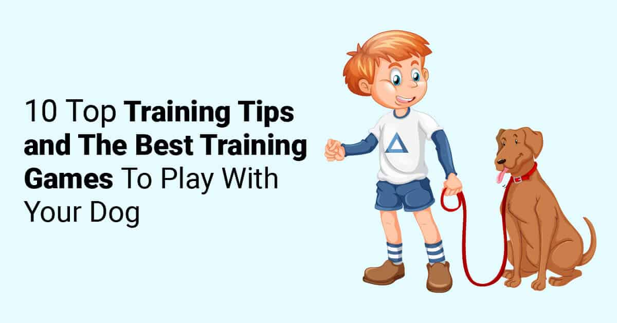 10-Top-Training-Tips-and-The-Best-Training-Games-To-Play-With-Your-Dog