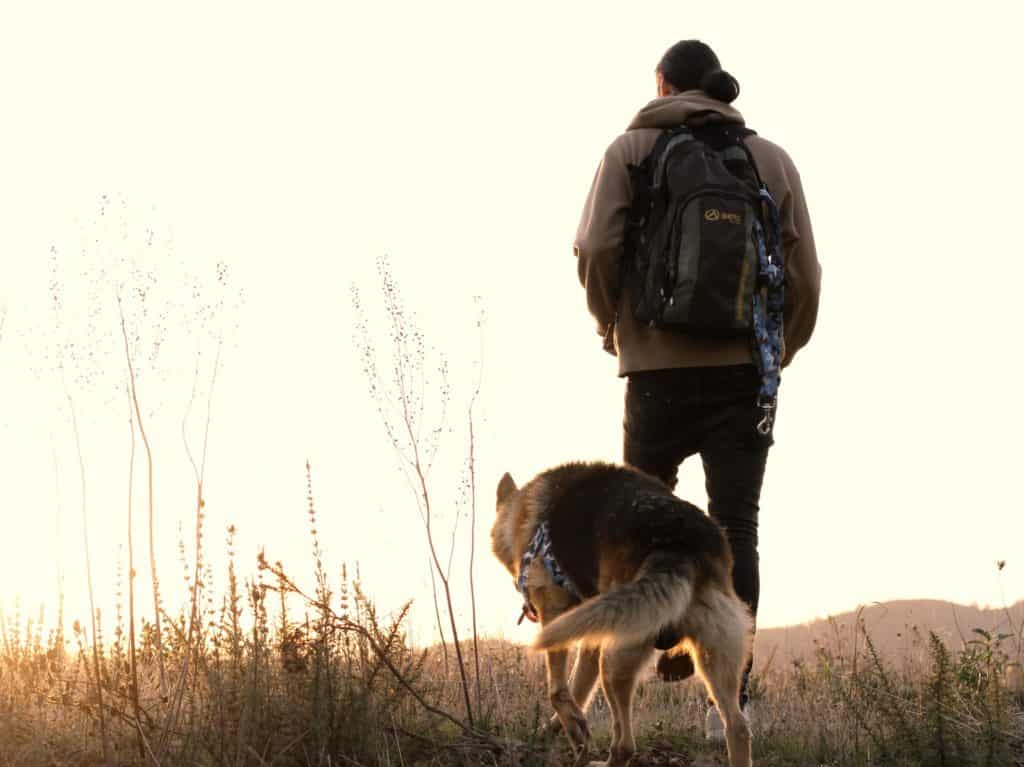 Are-German-Shepherds-Good-With-Kids