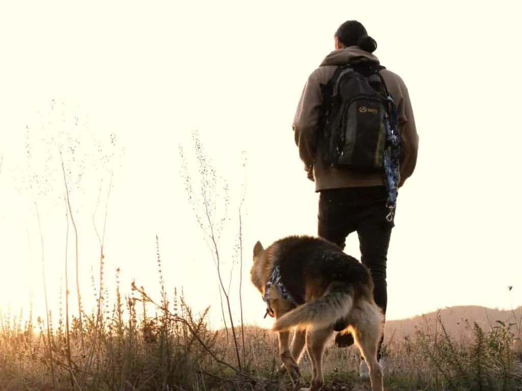 Are-German-Shepherds-Good-With-Kids