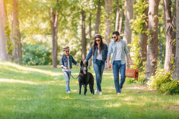 german-shepherd-dog-walking-with-family 