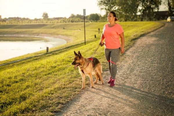 german-shepherd-hip-pain-home-remedies