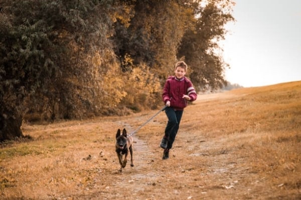 Are-Belgian-Malinois-Good-With-Children