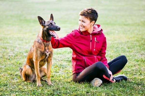 Belgian-Malinois