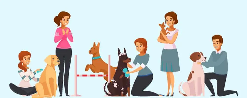 Female Dog owners with different dog breeds