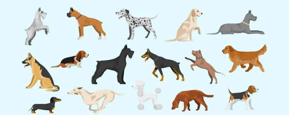 The World’s Most Popular Dog Breeds