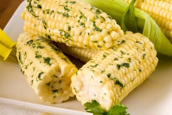 corn-left-on-the-cob