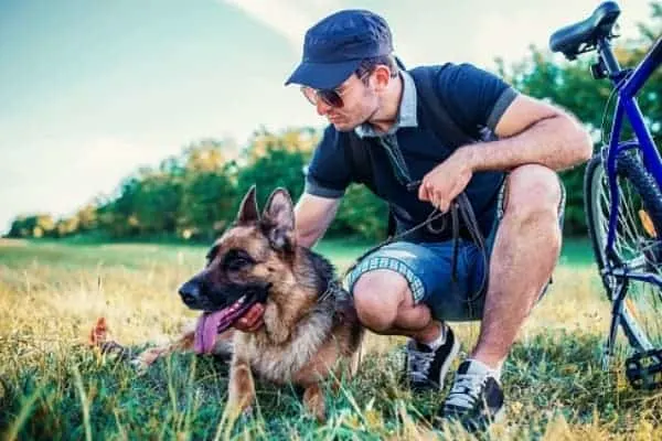 how to train my german shepherd for personal protection