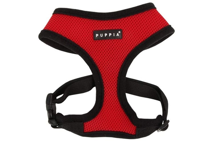 Authentic Puppia Soft Dog Harness Review