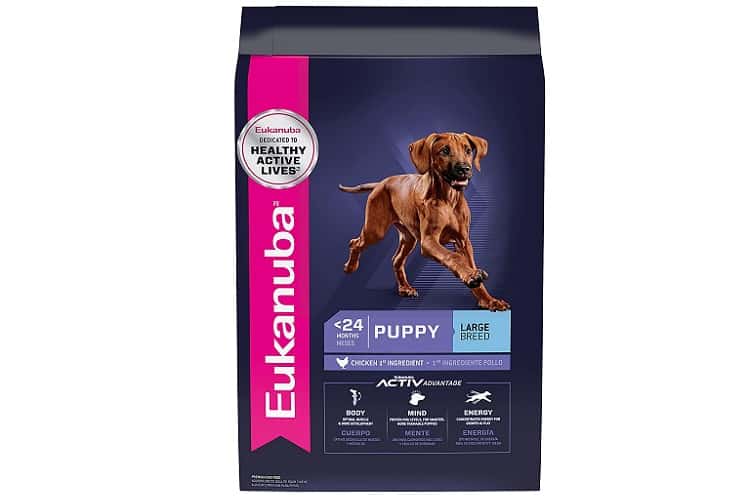 Eukanuba Puppy Large Breed Dry Dog Food Review