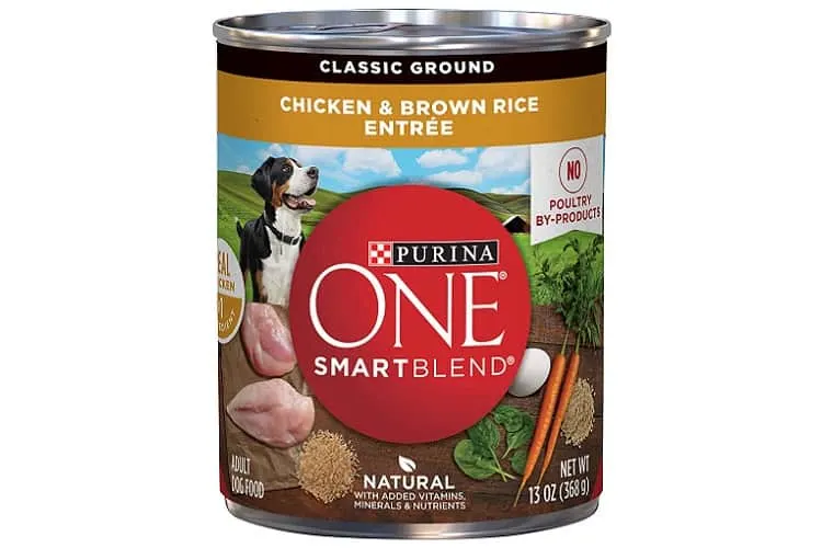 Purina ONE Natural Pate Wet Dog Food Review