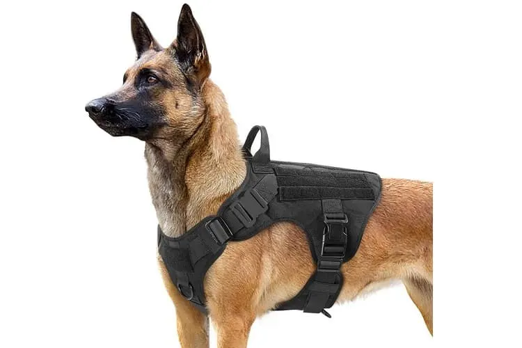 Rabbitgoo Tactical Dog Harness Review