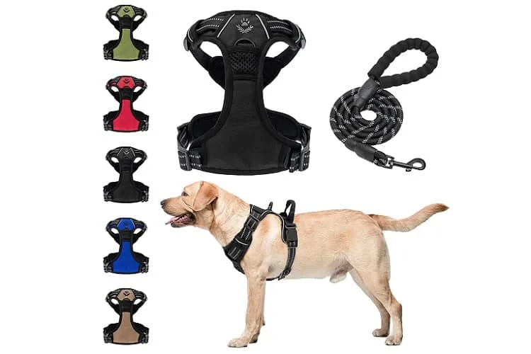 SCENEREAL Dog Harness Review