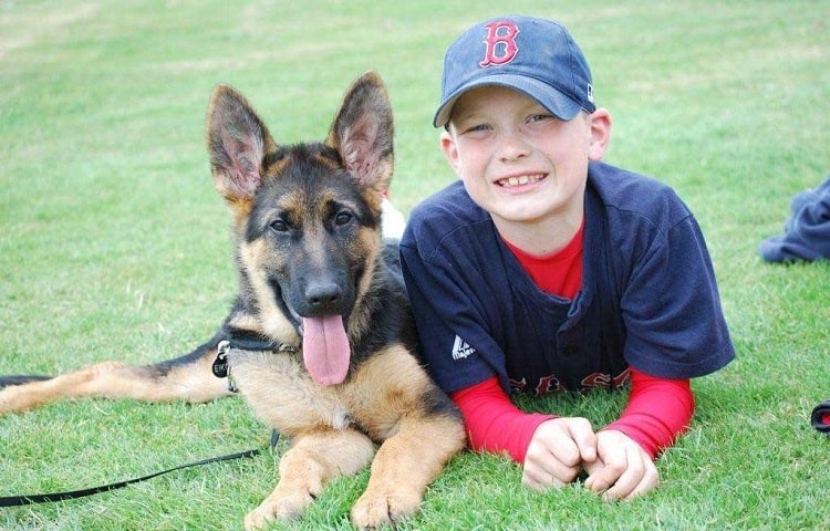 german shepherd and boy laying in the backyard