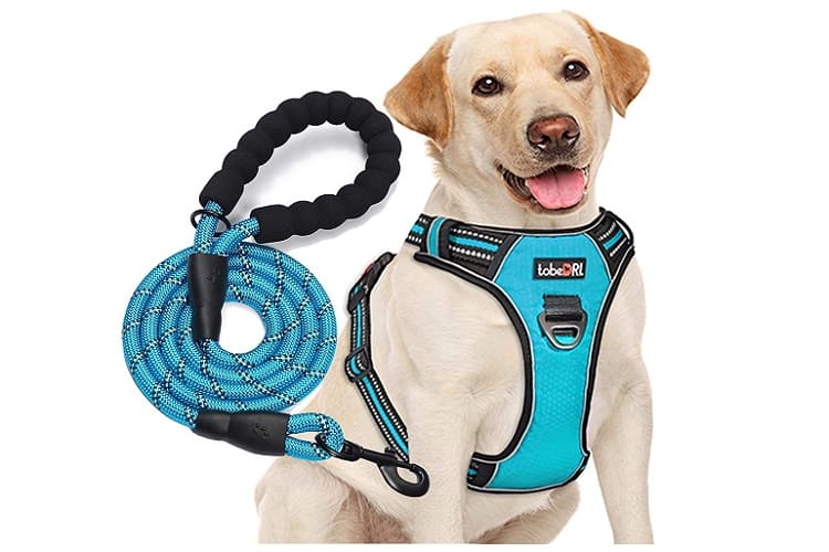 tobeDRI No Pull Dog Harness Review