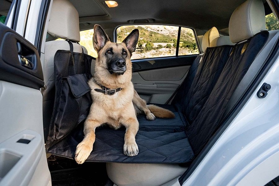 Seat Covers for German Shepherds & Large Dogs