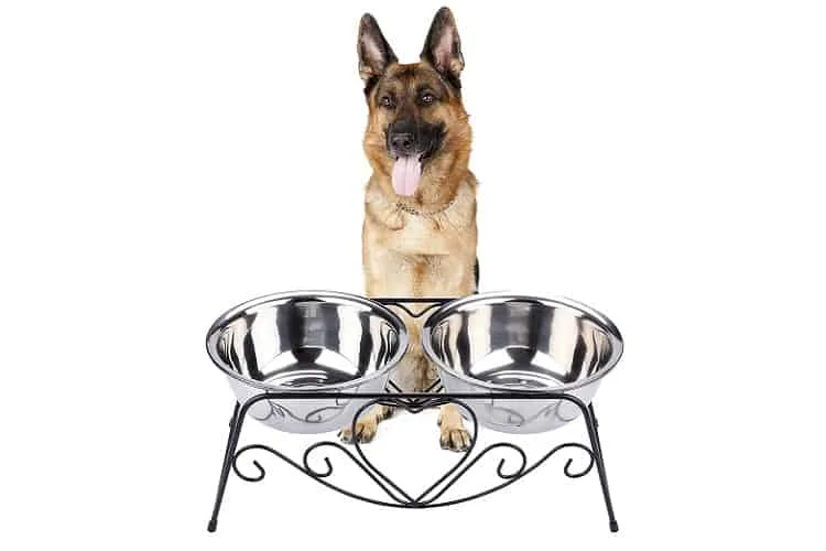 8 Best Dog Bowls for German Shepherds in 2022 7 CICO Pet Feeder for Dog Review