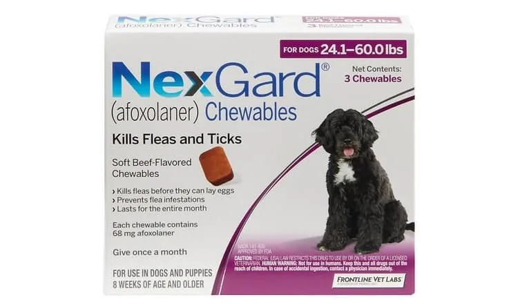 NexGard Chew for Dogs Review