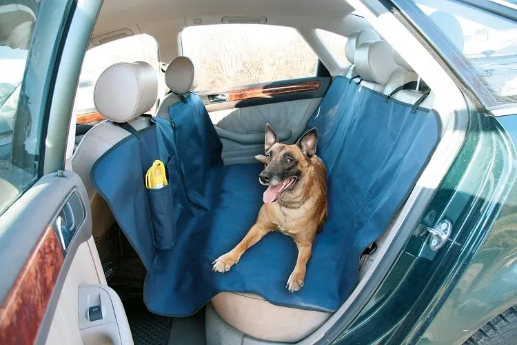 Different Kinds of Seat Covers for Dogs