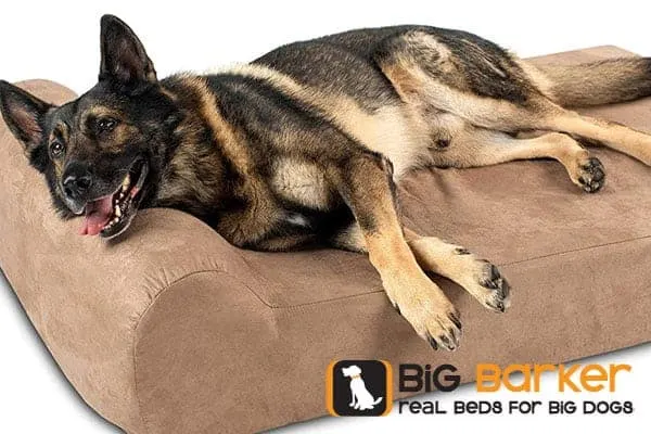 Best-Dog-Bed-For-German-Shepherd