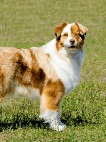 hero xtreme 200s blue