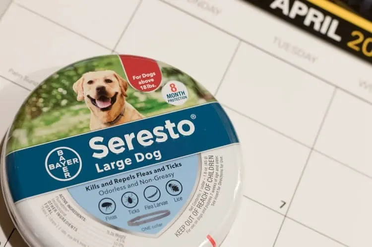 How Long Does It Take For A Flea Collar To Work 3 Common Chemicals Found in Flea Collars