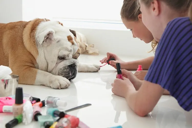 Two girls polish dog nails