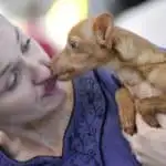 Dog licks his owner nose