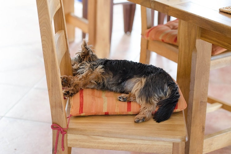 Sleeping on chair