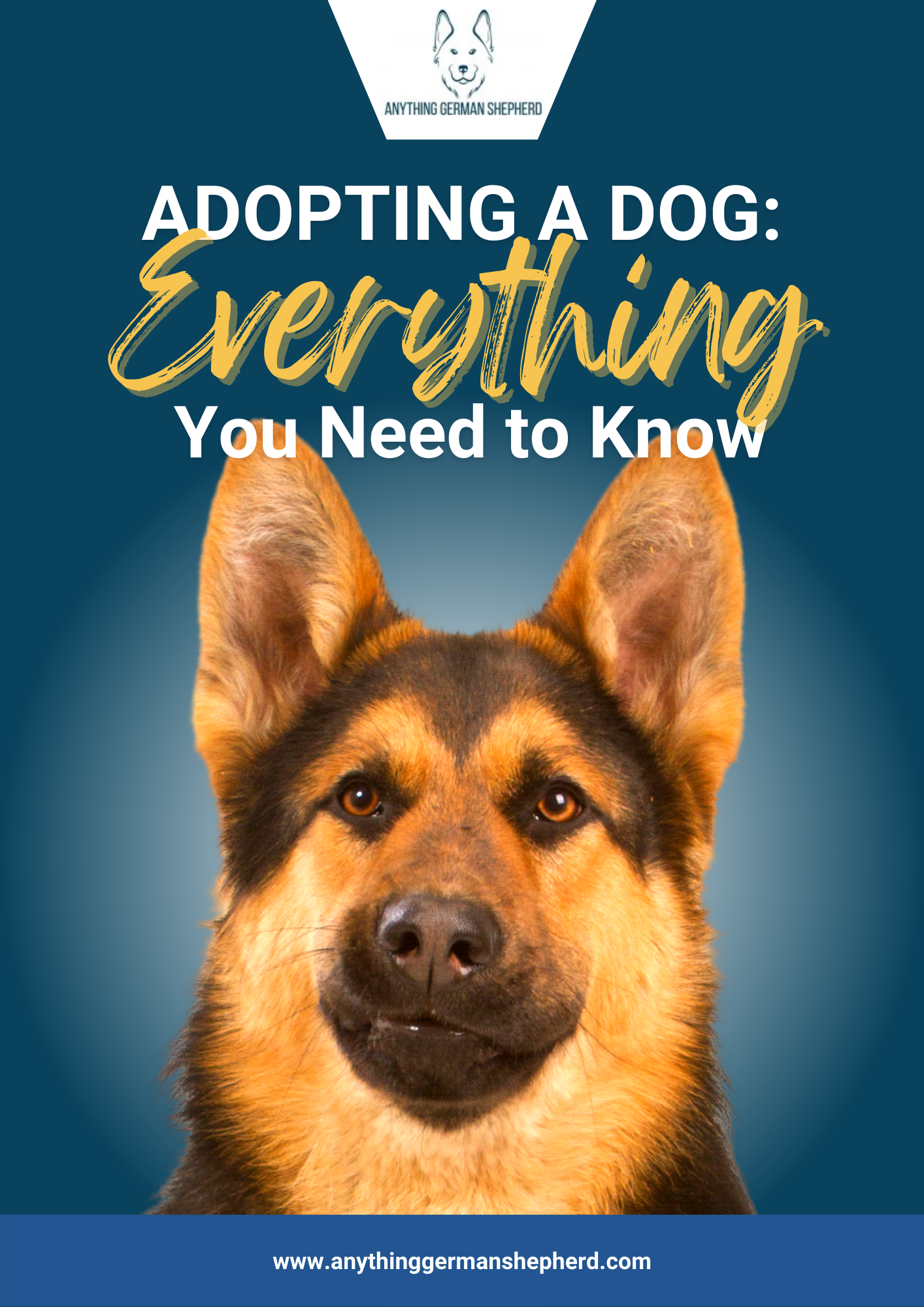 Urgent Warning: Parvo And Your Chickens   What You Need To Know - 3rahnnn