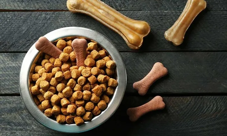 Dog Food and Treats