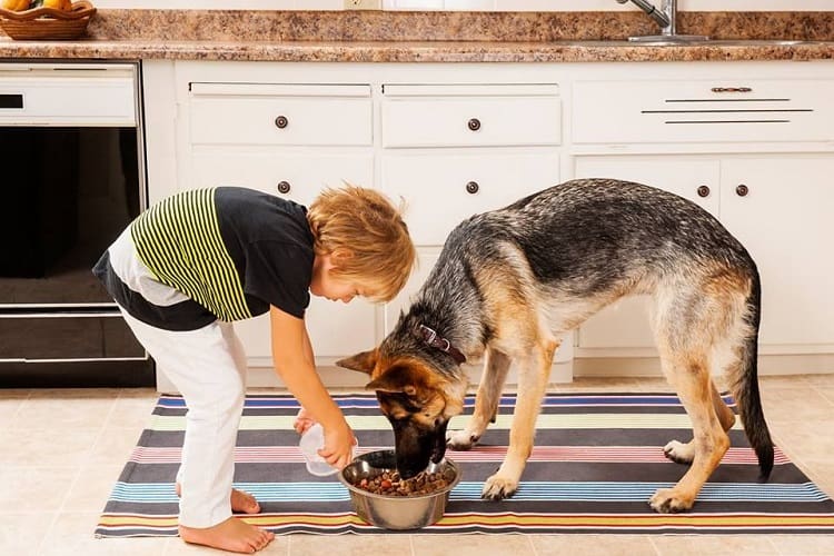 Establish a Steady Feeding Schedule