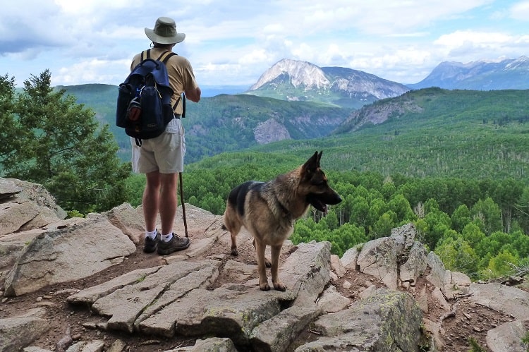 Is It a Good Idea To Take Your German Shepherd Hiking?