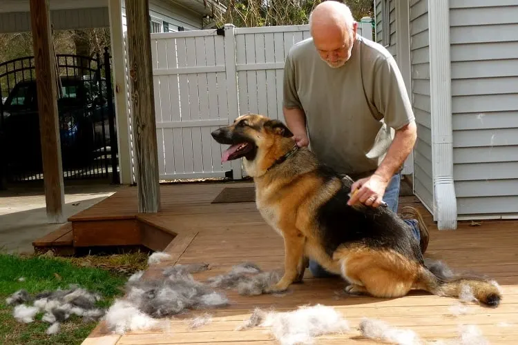 Should Just Brushing Be Enough?  