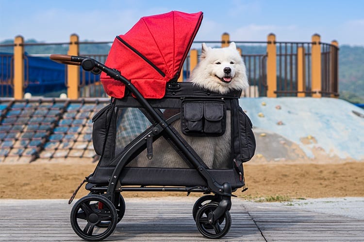 Key Features to Look For in Your Pet Stroller