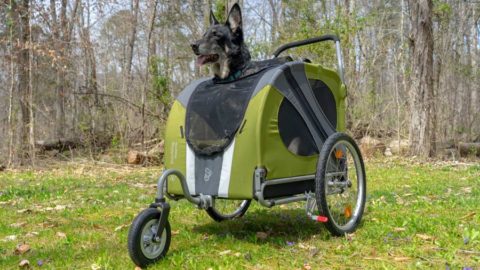 What are the Best Dog Strollers For Jogging
